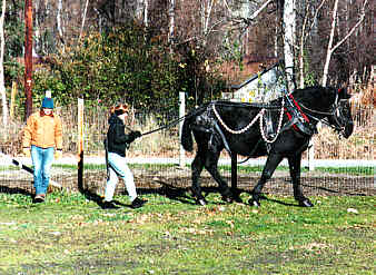 7.jpg (23576 bytes)