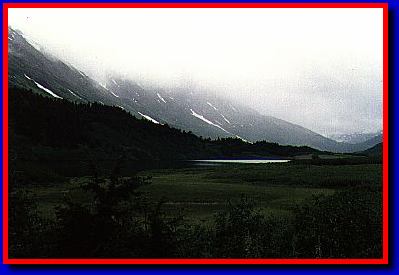 Alpine Meadow on the Kenai Peninsula