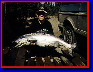 King Salmon