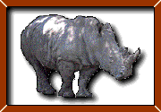 Rhino