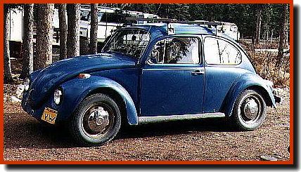 69 Blue Bug