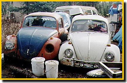 Three Old Bugs