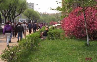 [spring sidewalk scene]