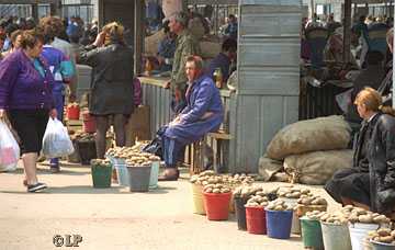 [potatoes and vendor]