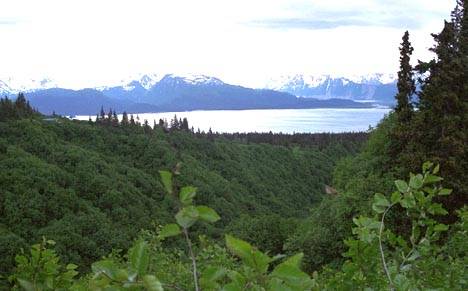 View of Kachemak Bay