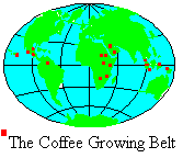 Coffee Belt