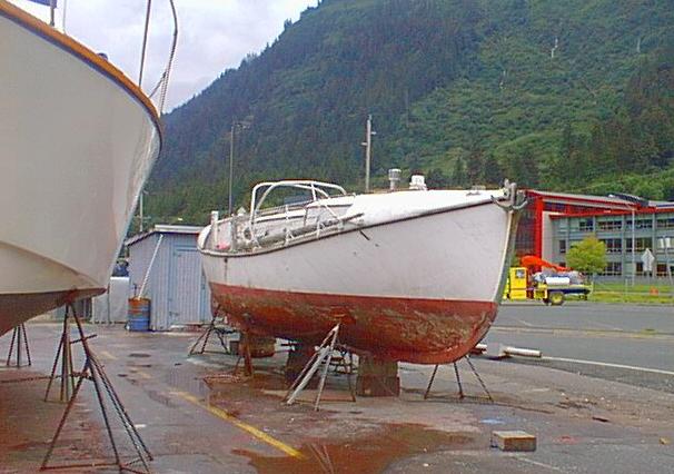 haulout photo