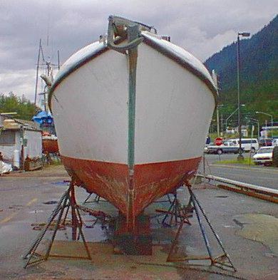 haulout photo