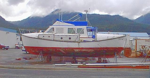 haulout photo
