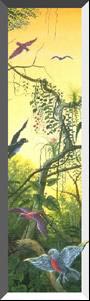 [ Image of Birds ]