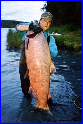 76 lb King Salmon