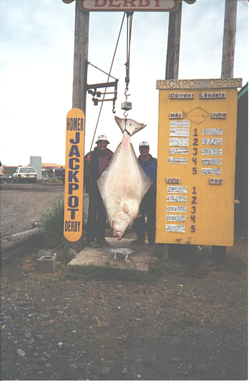 Alaska Sea Katch Charters - Homer Alaska Halibut Fishing