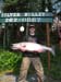Kenai River Guide Service Photo Gallery