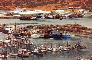 King Cove Harbor