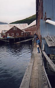 Squaw Harbor Dock