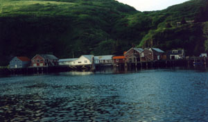 Squaw Harbor, Alaska
