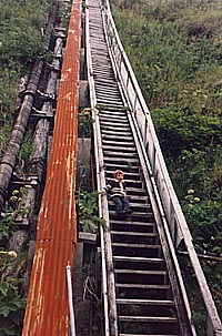 Steps to the Top