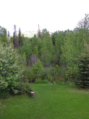 backyardclose