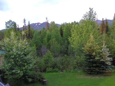 mountain2