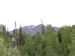 mountain