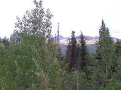 mountainlight