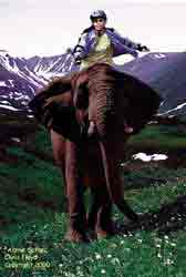 alpsafari