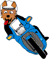 Wolf K Rider