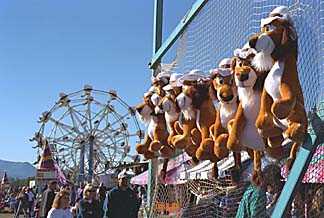 Lions and ferris wheel