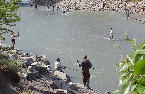 Ship Creek salmon fishing scene