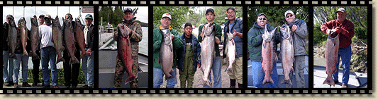 king salmon, salmon fishing guides, salmon fishing charters, alaska guides, alaska salmon charter, kenai river