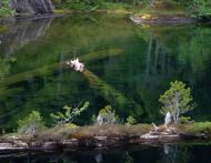 Alpine lake scene