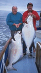 halibut fishing