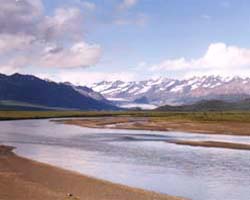 Maclaren River