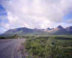 Denali Highway