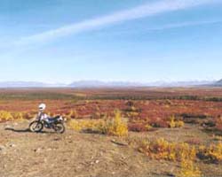 Denali Highway in fall