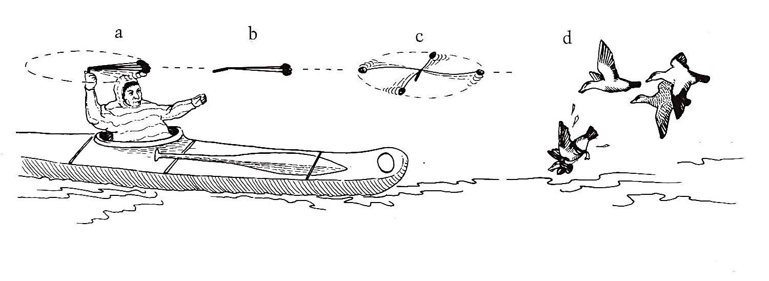 Alaska Native Kayak Bolo Hunting