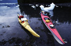 sea kayaking