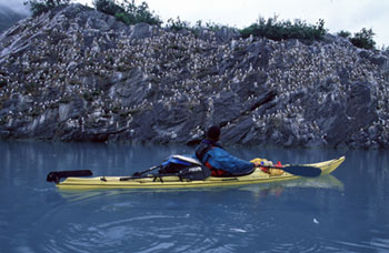 Natural History Alaska