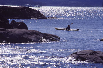 sea kayaking 