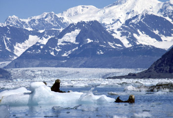 Columbia Bay