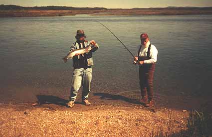 Al with nice Rainbow