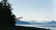 bay pic