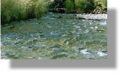 stream pic