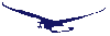 eagle.gif (329 bytes)