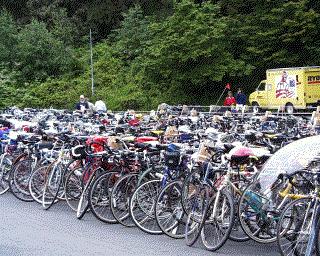 BikeSea.jpg (36062 bytes)