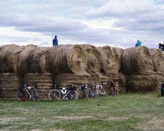 Hay.jpg (24022 bytes)