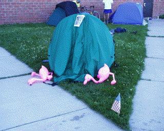 Flamingo.jpg (26317 bytes)