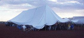 colltent.jpg (11616 bytes)