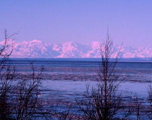 PIC00080a.jpg (14673 bytes)