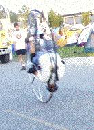 cbike3.jpg (9326 bytes)